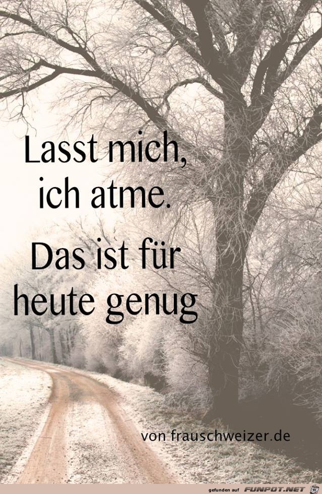 Genug gemacht Genug gemacht