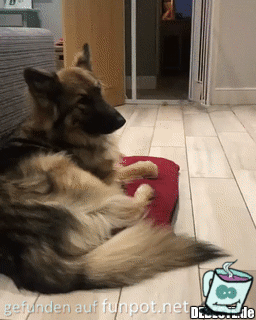 ich bin müde.... ich bin müde....