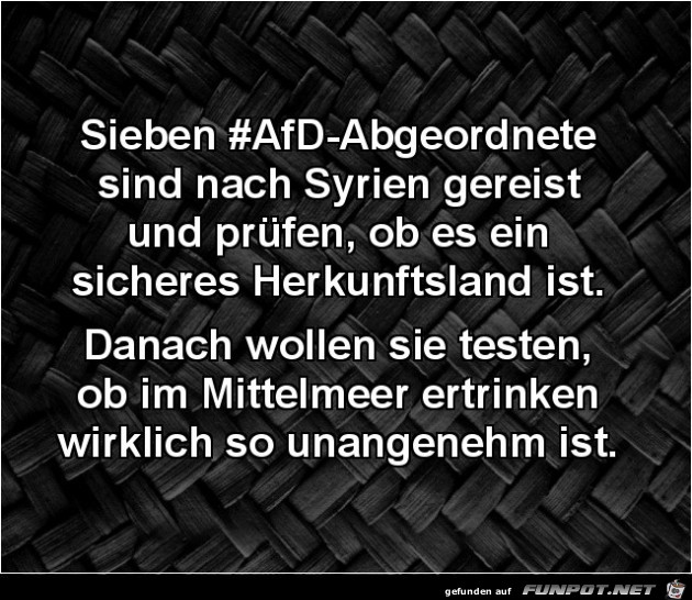 sieben AFD Abgeordnete sind nach Syrien gereist,....... sieben AFD Abgeordnete sind nach Syrien gereist,.......