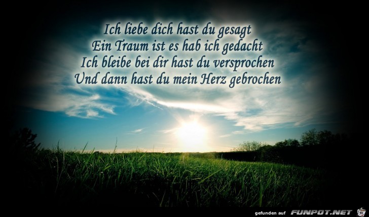 ich liebe dich, hast du gesagt,...