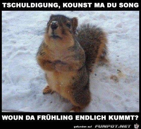 Wann kommt der Frühling? Wann kommt der Frühling?