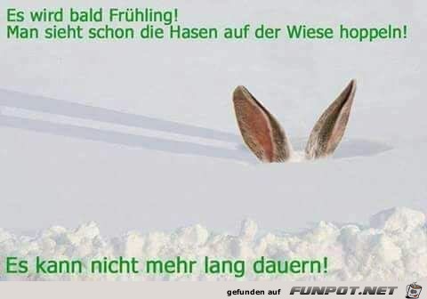 Ich sehe den Frühling schon kommen.... Ich sehe den Frühling schon kommen....