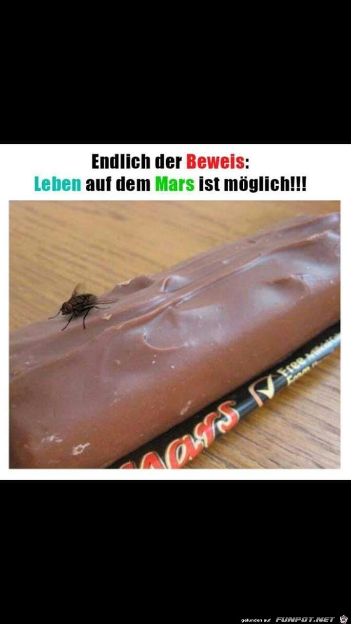 Leben auf dem Mars