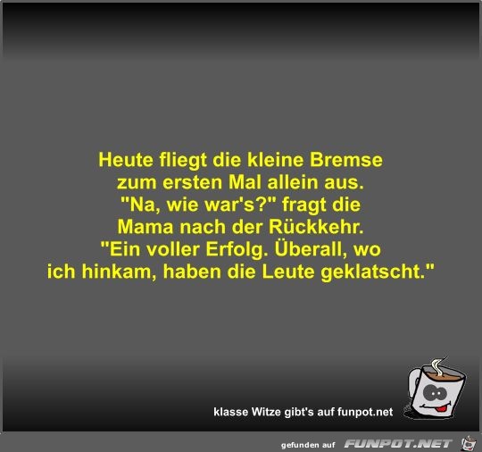 Heute fliegt die kleine Bremse zum ersten Mal allein aus Heute fliegt die kleine Bremse zum ersten Mal allein aus