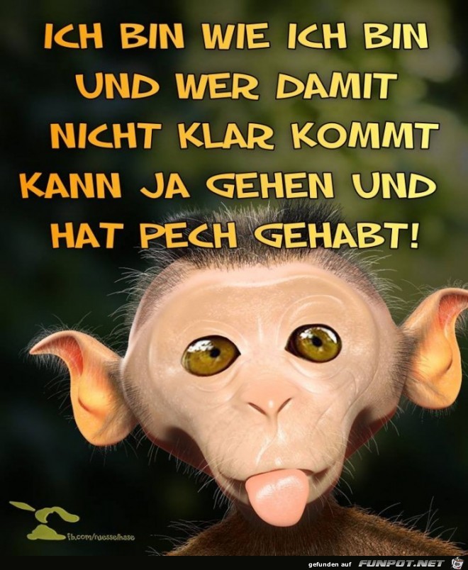 Bin wie ich bin Bin wie ich bin
