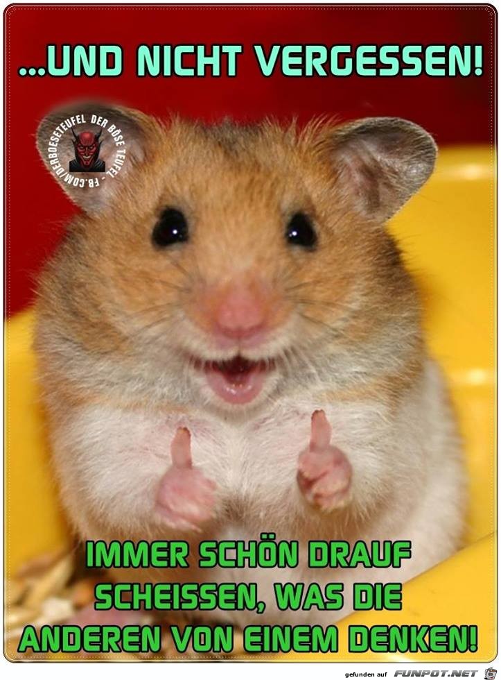 Nicht vergessen Nicht vergessen