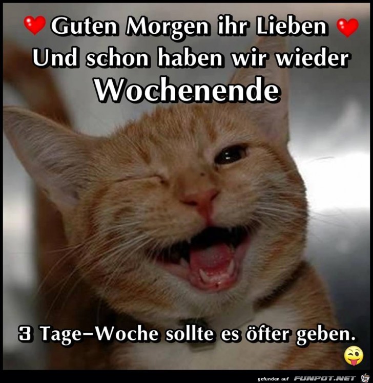Guten Morgen ihr Lieben Guten Morgen ihr Lieben