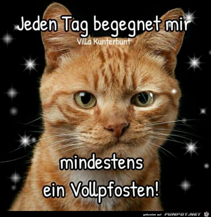 Jeden Tag begegnet mir Jeden Tag begegnet mir