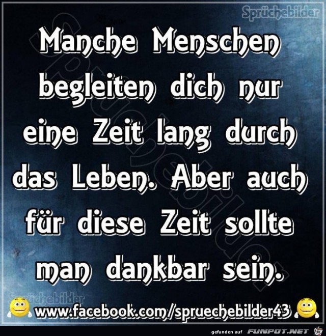 Manche Menschen begleiten dich nur Manche Menschen begleiten dich nur