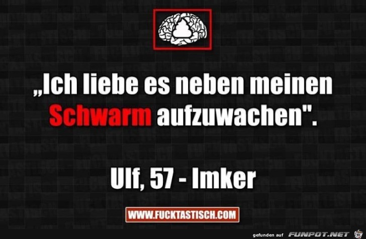 Ein Schwarm Ein Schwarm