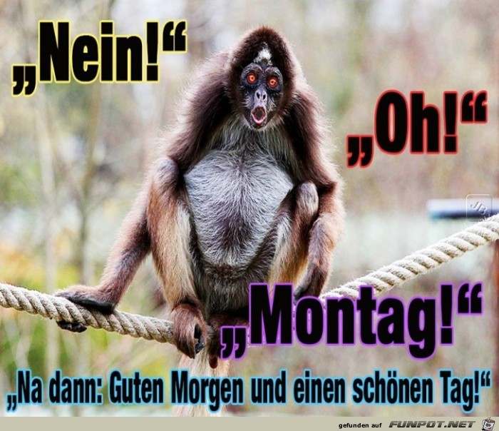 Montag Montag