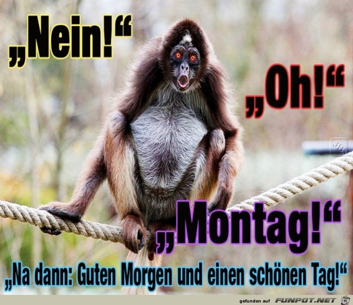 Montag