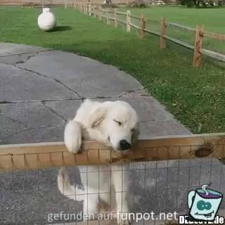 Ich freu mich Ich freu mich