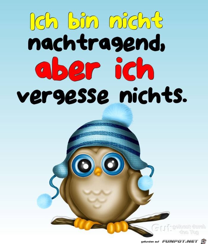 Bin nicht nachtragend Bin nicht nachtragend