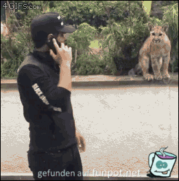 Entspannter Wärter Entspannter Wärter