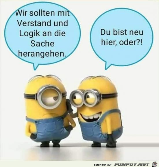 Du bist neu Du bist neu