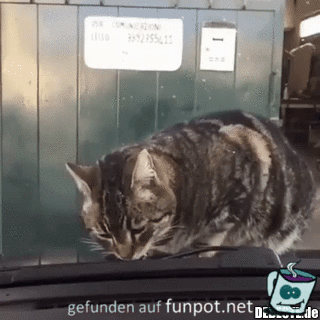 Schreck lass nach Schreck lass nach