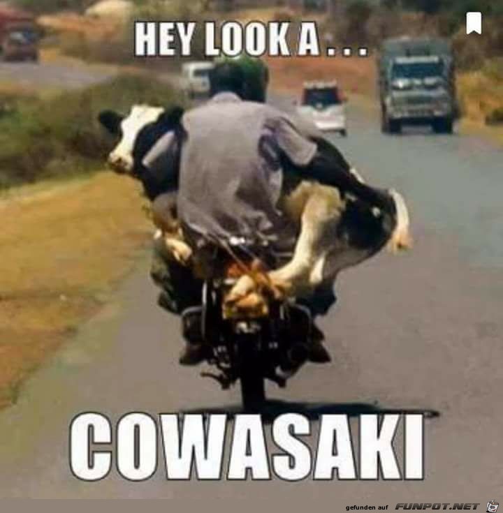 Cowasaki