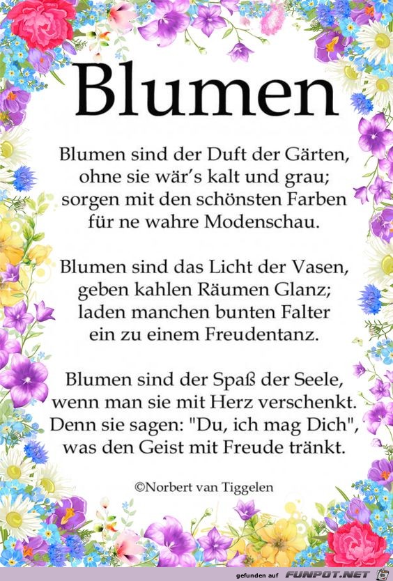 blumen 2018 blumen 2018
