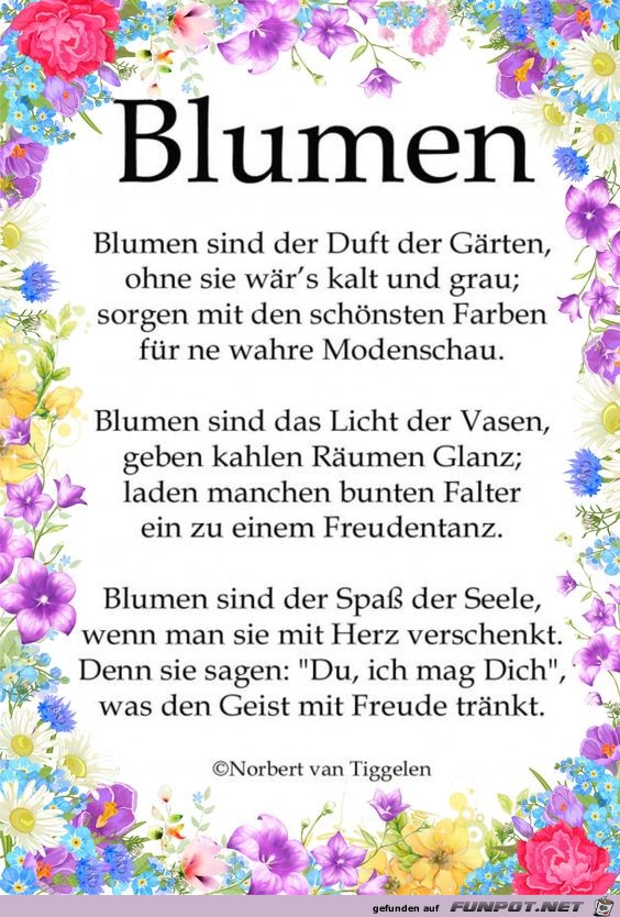 blumen 2018