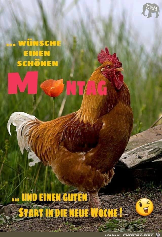 Wuensche einen schoenen Montag