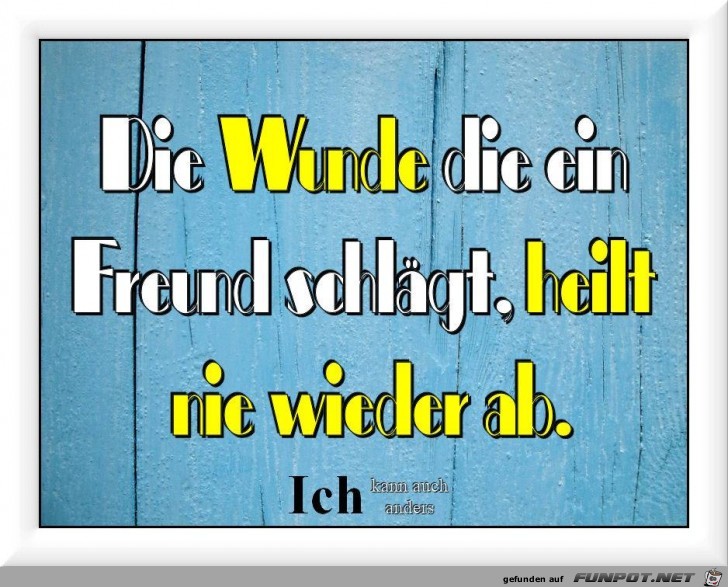 Die Wundedie ein Freund schlaegt Die Wundedie ein Freund schlaegt