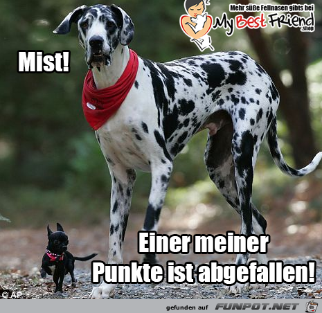 Einer meiner Punkte Einer meiner Punkte