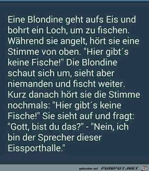 Blondinenwitz Blondinenwitz