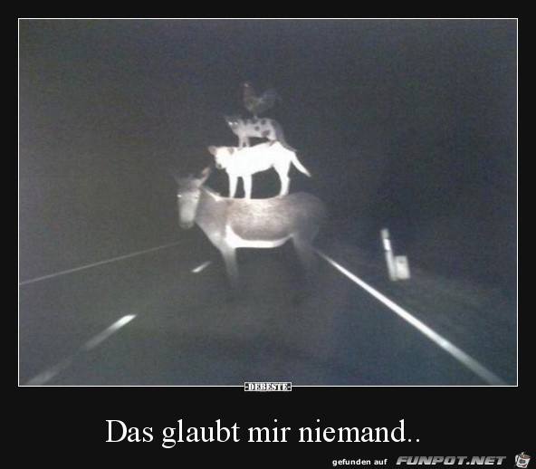 das glaubt mr niemand......