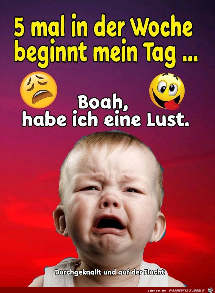5 mal in der Woche 5 mal in der Woche