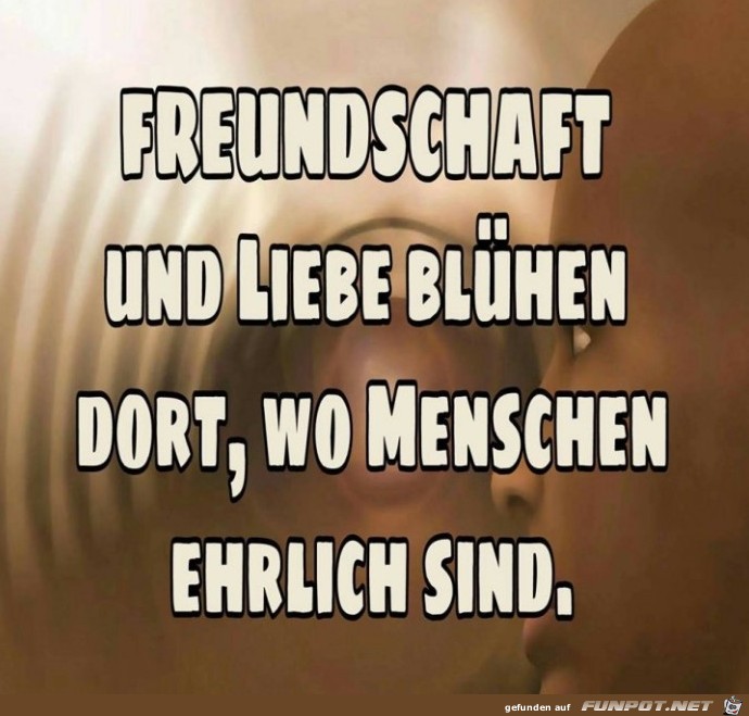 Freundschaft und Liebe