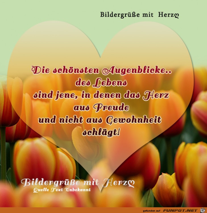 Die schoensten Augenblicke Die schoensten Augenblicke