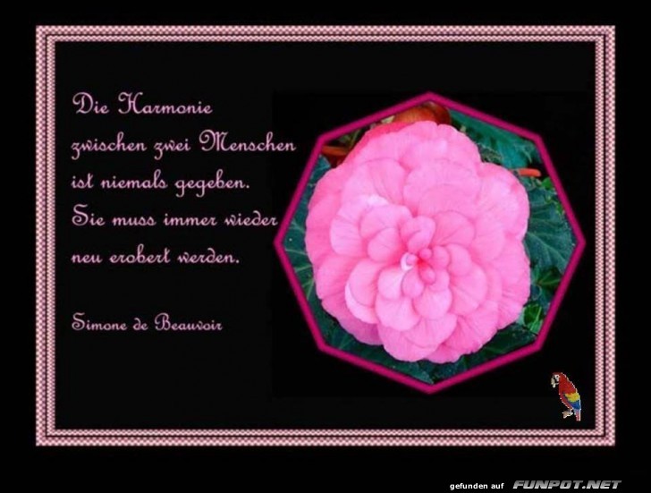 Die Harmonie Die Harmonie
