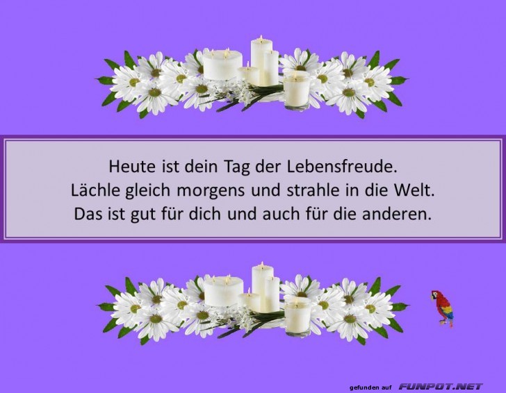 Heute ist dein Tag Heute ist dein Tag