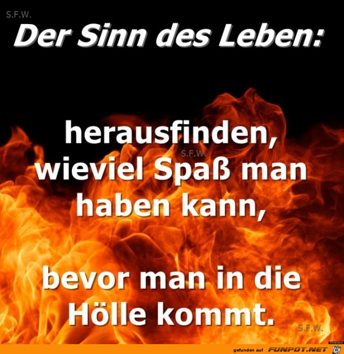 der Sinn des Leben der Sinn des Leben