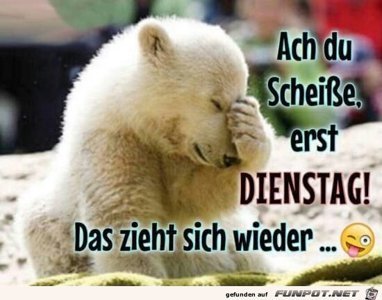 Dienstag Dienstag