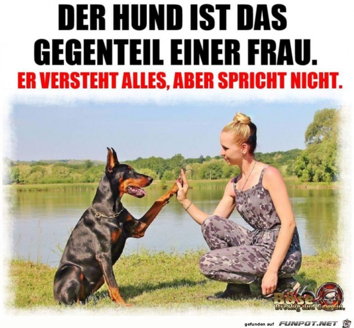 Hund vs Frau