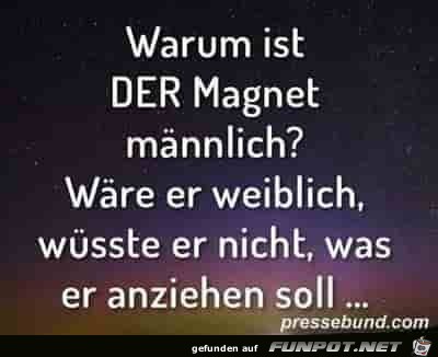 Warum ist DER Magnet mnnlich?