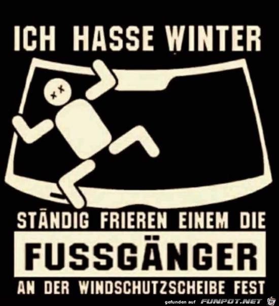 ich hasse Winter,.......