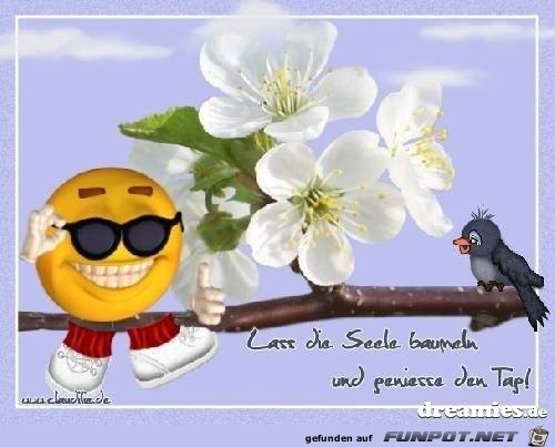 Lass die Seele baumeln Lass die Seele baumeln
