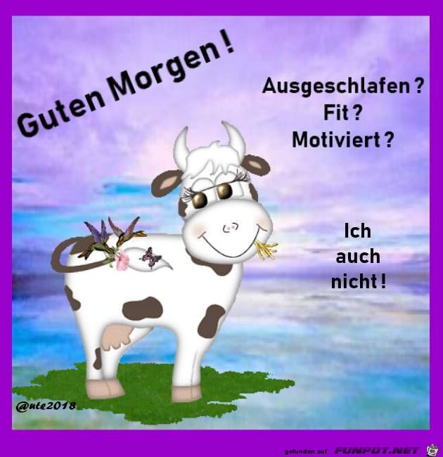 Ausgeschlafen Ausgeschlafen