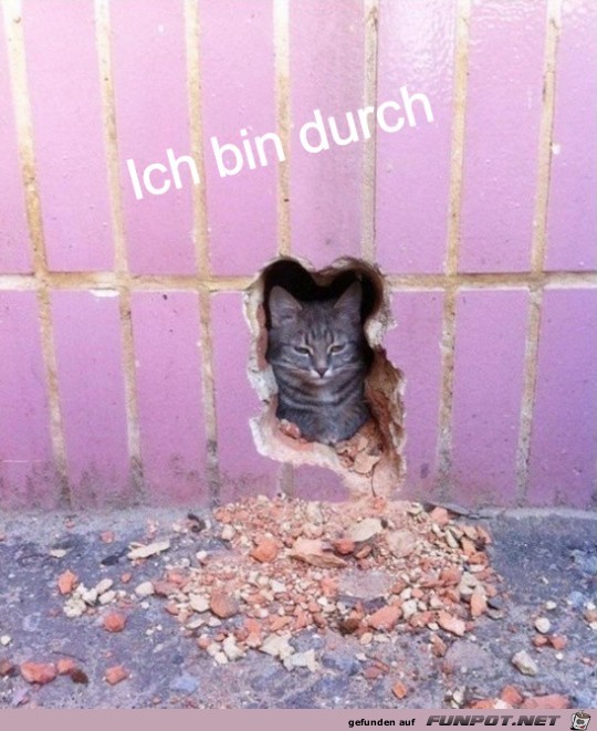 Ich bin durch