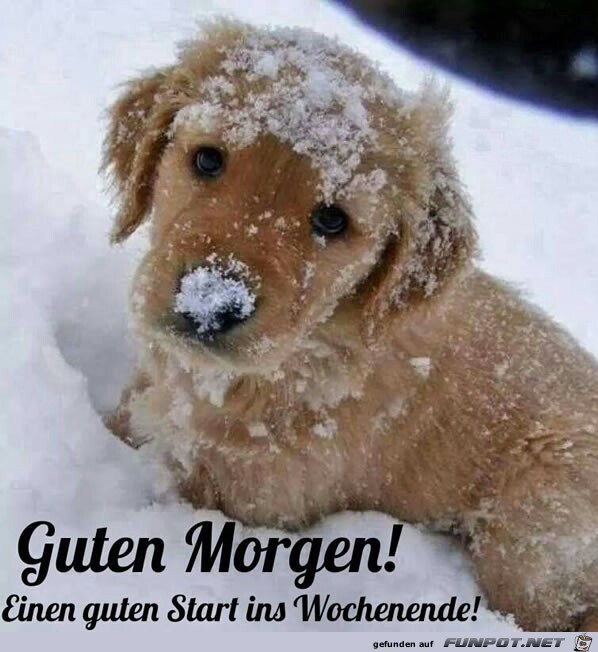 Guten Start Guten Start