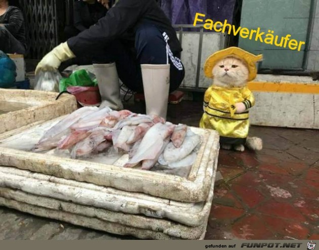Fachverkäufer Fachverkäufer