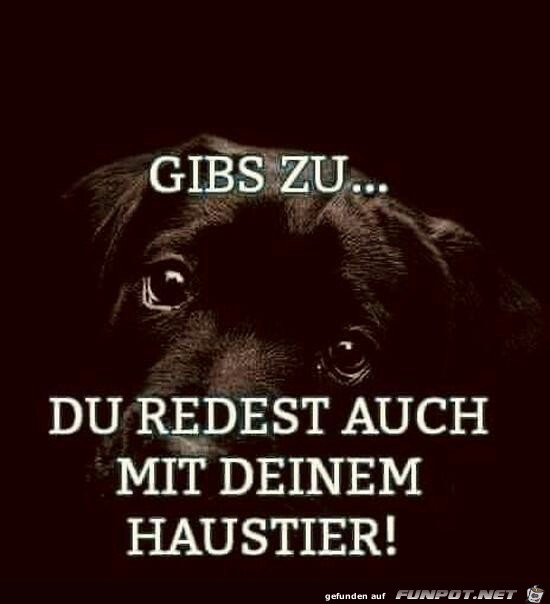 Gib's zu.... Gib's zu....