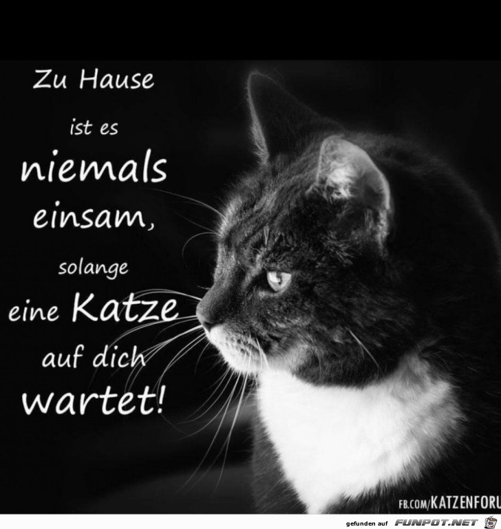 zu Hause ist es niemals einsam.....