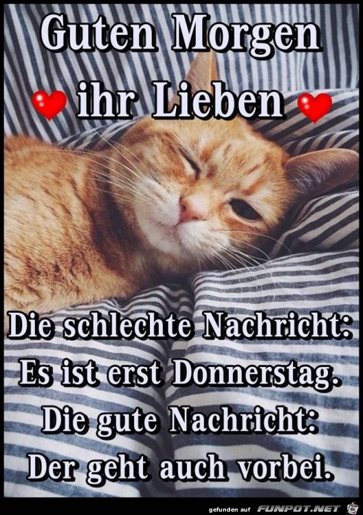 Es ist Donnerstag Es ist Donnerstag