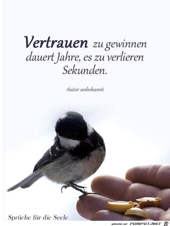 Vertrauen zu gewinnen Vertrauen zu gewinnen