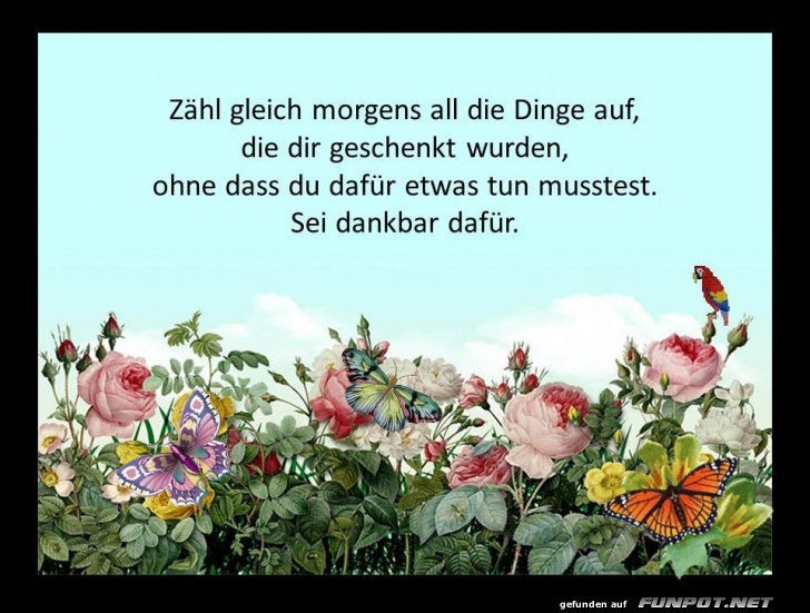 Zaehl gleich morgens auf Zaehl gleich morgens auf