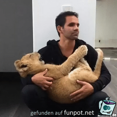 Kleines Raubtier Kleines Raubtier